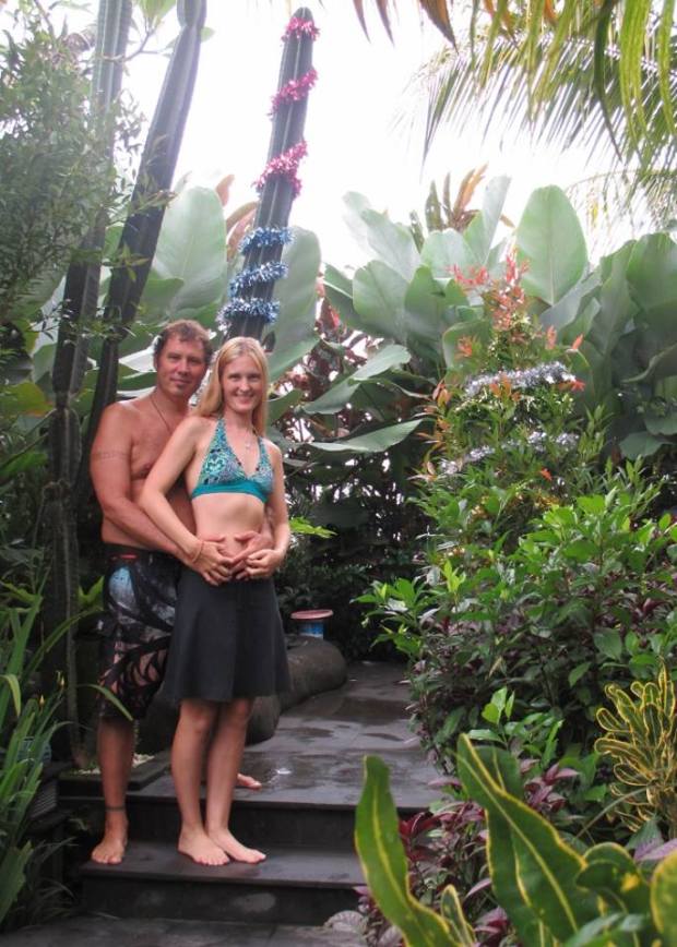 Christmas Cactus Bali